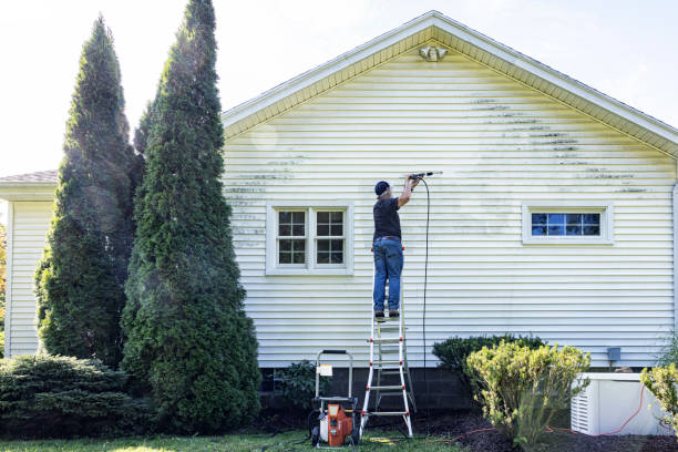 Best Sidewalk and Walkway Cleaning  in Bristol, VA
